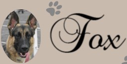 Fox Shepherd Logo