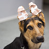 taped ears =(